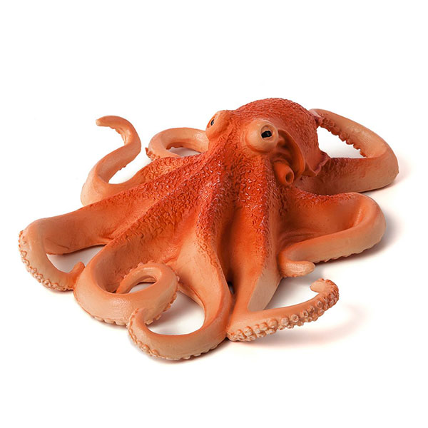 Octopus